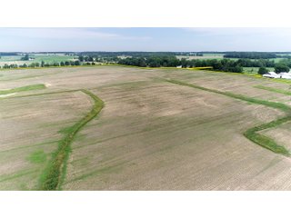 Property photo 14 - FARMLAND AUCTION 175+/- ACRES OFFERED IN 6 TRACTS IN DEFIANCE COUNTY, OH