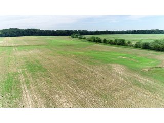 Property photo 26 - FARMLAND AUCTION 175+/- ACRES OFFERED IN 6 TRACTS IN DEFIANCE COUNTY, OH