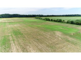 Property photo 17 - FARMLAND AUCTION 175+/- ACRES OFFERED IN 6 TRACTS IN DEFIANCE COUNTY, OH