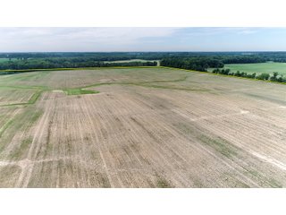 Property photo 19 - FARMLAND AUCTION 175+/- ACRES OFFERED IN 6 TRACTS IN DEFIANCE COUNTY, OH