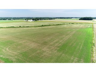 Property photo 3 - FARMLAND AUCTION 175+/- ACRES OFFERED IN 6 TRACTS IN DEFIANCE COUNTY, OH