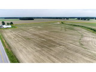Property photo 5 - FARMLAND AUCTION 175+/- ACRES OFFERED IN 6 TRACTS IN DEFIANCE COUNTY, OH