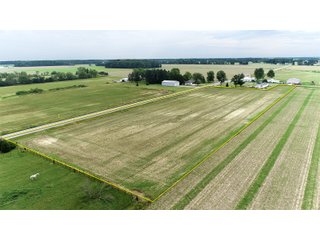 Property photo 8 - FARMLAND AUCTION 175+/- ACRES OFFERED IN 6 TRACTS IN DEFIANCE COUNTY, OH
