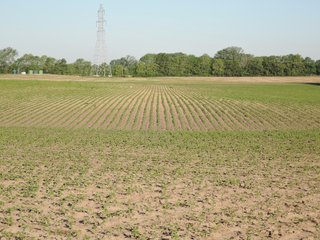 Property photo 17 - LAND AUCTION 155 +/- ACRES OFFERED IN 2 TRACTS IN DELAWARE COUNTY, IN