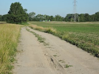 Property photo 19 - LAND AUCTION 155 +/- ACRES OFFERED IN 2 TRACTS IN DELAWARE COUNTY, IN