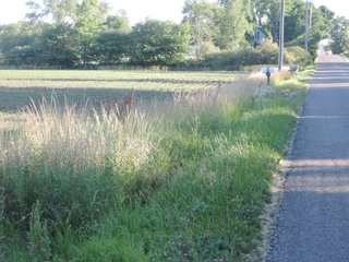 Property photo 23 - LAND AUCTION 155 +/- ACRES OFFERED IN 2 TRACTS IN DELAWARE COUNTY, IN