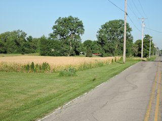 Property photo 25 - LAND AUCTION 155 +/- ACRES OFFERED IN 2 TRACTS IN DELAWARE COUNTY, IN