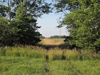 Property photo 26 - LAND AUCTION 155 +/- ACRES OFFERED IN 2 TRACTS IN DELAWARE COUNTY, IN
