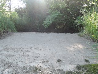 Property photo 27 - LAND AUCTION 155 +/- ACRES OFFERED IN 2 TRACTS IN DELAWARE COUNTY, IN