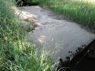 Property photo 28 - LAND AUCTION 155 +/- ACRES OFFERED IN 2 TRACTS IN DELAWARE COUNTY, IN