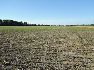 Property photo 29 - LAND AUCTION 155 +/- ACRES OFFERED IN 2 TRACTS IN DELAWARE COUNTY, IN