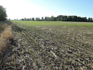Property photo 30 - LAND AUCTION 155 +/- ACRES OFFERED IN 2 TRACTS IN DELAWARE COUNTY, IN