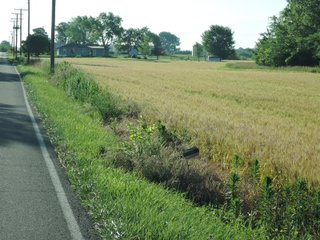 Property photo 32 - LAND AUCTION 155 +/- ACRES OFFERED IN 2 TRACTS IN DELAWARE COUNTY, IN