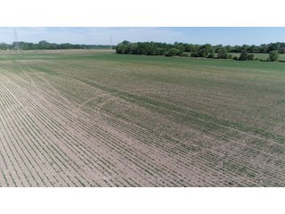 Property photo 7 - LAND AUCTION 155 +/- ACRES OFFERED IN 2 TRACTS IN DELAWARE COUNTY, IN