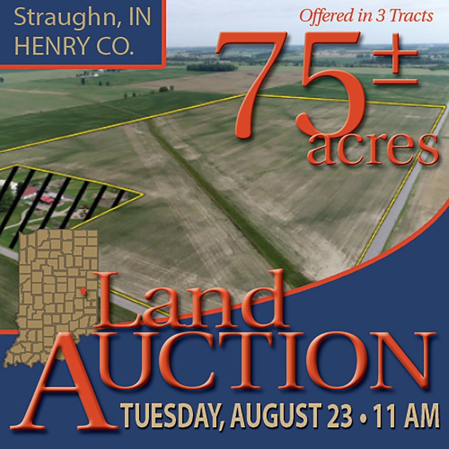 LAND AUCTION 75+/- ACRES OFFERED IN 3 TRACTS IN HENRY COUNTY, IN