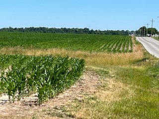 Property photo 10 - LAND AUCTION 75+/- ACRES OFFERED IN 3 TRACTS IN HENRY COUNTY, IN