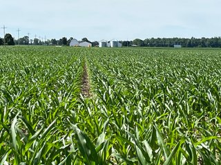 Property photo 15 - LAND AUCTION 75+/- ACRES OFFERED IN 3 TRACTS IN HENRY COUNTY, IN