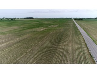 Property photo 14 - LAND AUCTION 75+/- ACRES OFFERED IN 3 TRACTS IN HENRY COUNTY, IN