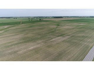 Property photo 11 - LAND AUCTION 75+/- ACRES OFFERED IN 3 TRACTS IN HENRY COUNTY, IN