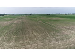 Property photo 3 - LAND AUCTION 75+/- ACRES OFFERED IN 3 TRACTS IN HENRY COUNTY, IN