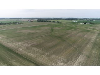 Property photo 9 - LAND AUCTION 75+/- ACRES OFFERED IN 3 TRACTS IN HENRY COUNTY, IN