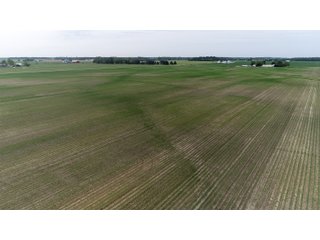 Property photo 8 - LAND AUCTION 75+/- ACRES OFFERED IN 3 TRACTS IN HENRY COUNTY, IN