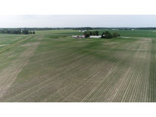 Property photo 7 - LAND AUCTION 75+/- ACRES OFFERED IN 3 TRACTS IN HENRY COUNTY, IN