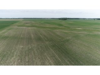 Property photo 6 - LAND AUCTION 75+/- ACRES OFFERED IN 3 TRACTS IN HENRY COUNTY, IN