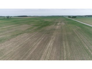 Property photo 5 - LAND AUCTION 75+/- ACRES OFFERED IN 3 TRACTS IN HENRY COUNTY, IN