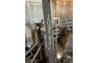 Property photo 102 - COUNTRY FARM AUCTION IN ALLEN COUNTY, IN