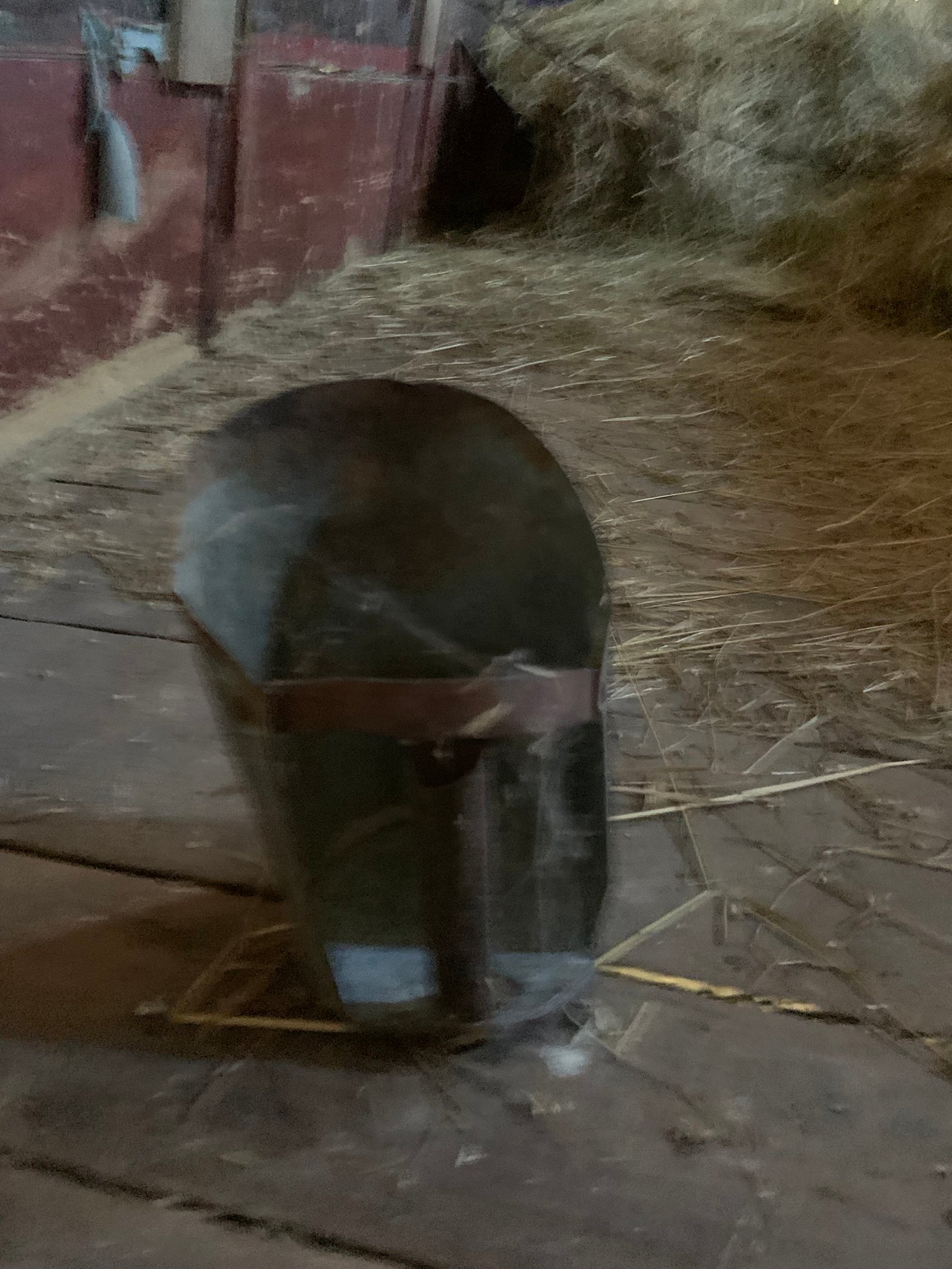Property photo 133 - COUNTRY FARM AUCTION IN ALLEN COUNTY, IN