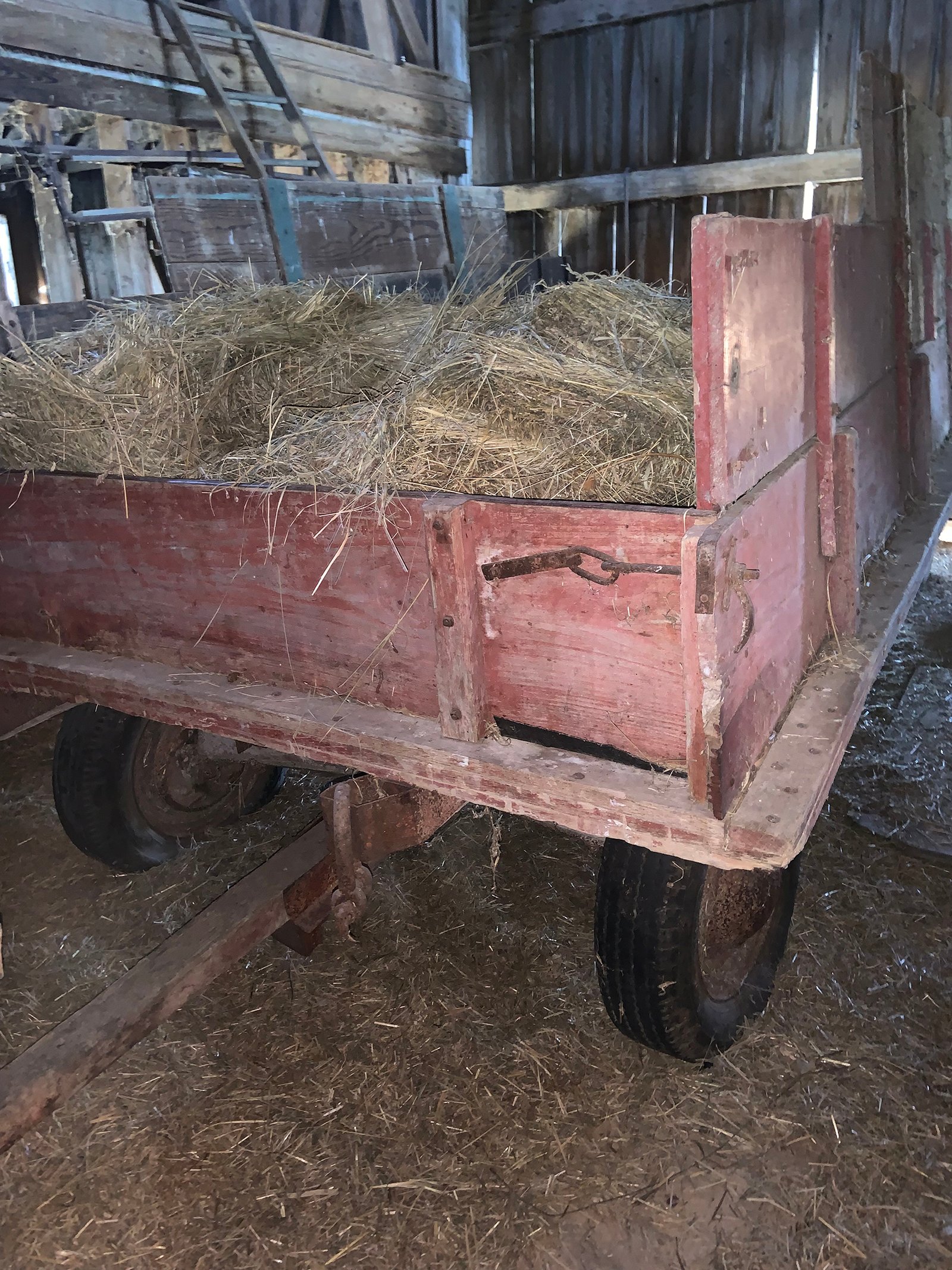 Property photo 136 - COUNTRY FARM AUCTION IN ALLEN COUNTY, IN