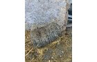 Property photo 159 - COUNTRY FARM AUCTION IN ALLEN COUNTY, IN