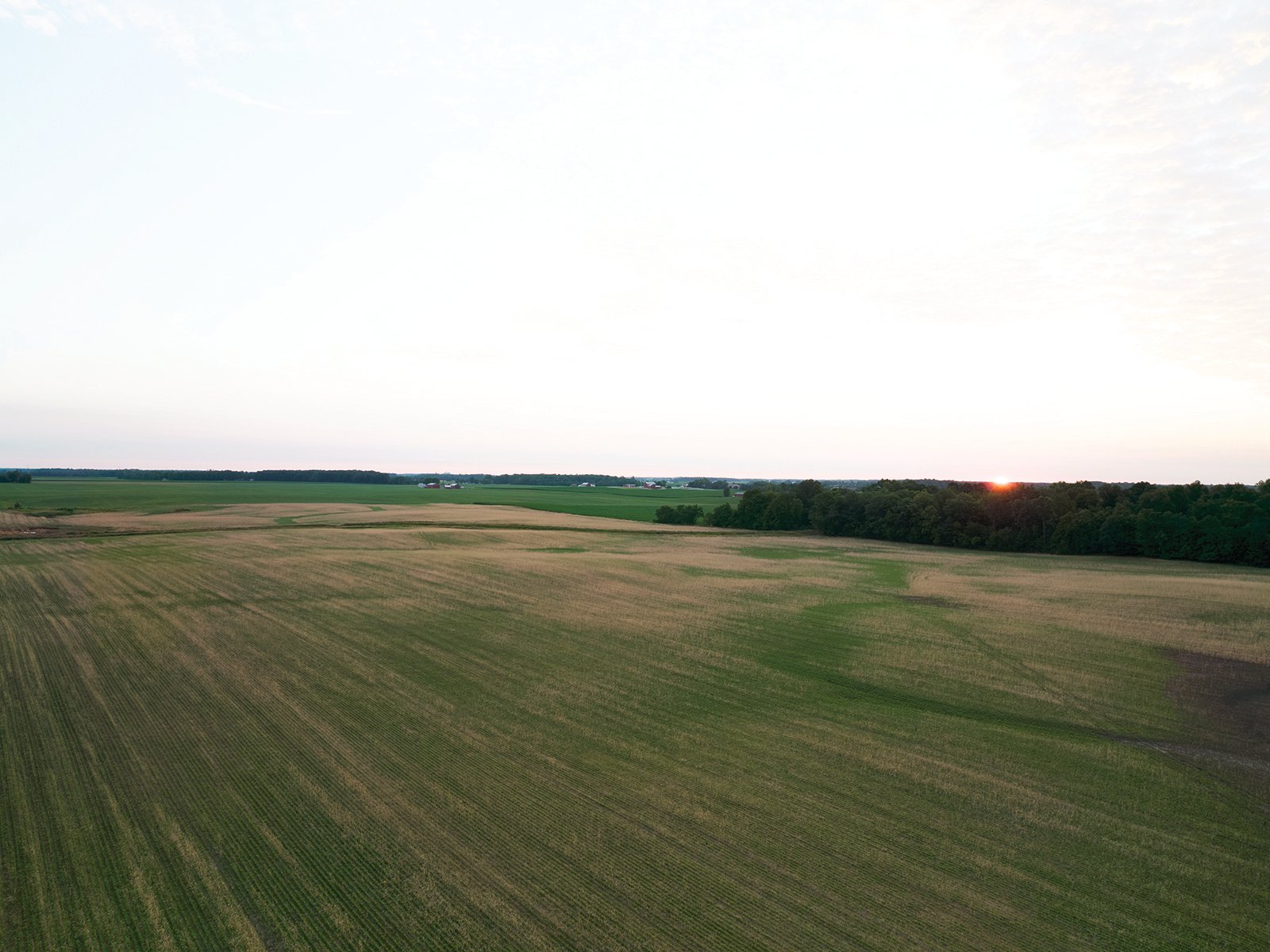 Property photo 4 - AUCTION CANCELLED - SOLD PRIOR TO AUCTION | LAND AUCTION 106.32+/- ACRES OFFERED IN 3 TRACTS IN WHITLEY COUNTY, IN
