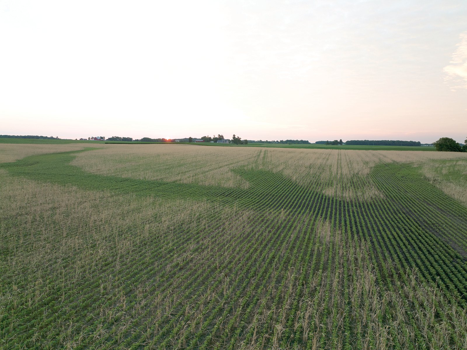Property photo 5 - AUCTION CANCELLED - SOLD PRIOR TO AUCTION | LAND AUCTION 106.32+/- ACRES OFFERED IN 3 TRACTS IN WHITLEY COUNTY, IN