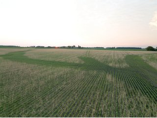 Property photo 5 - AUCTION CANCELLED - SOLD PRIOR TO AUCTION | LAND AUCTION 106.32+/- ACRES OFFERED IN 3 TRACTS IN WHITLEY COUNTY, IN