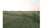 Property photo 5 - AUCTION CANCELLED - SOLD PRIOR TO AUCTION | LAND AUCTION 106.32+/- ACRES OFFERED IN 3 TRACTS IN WHITLEY COUNTY, IN