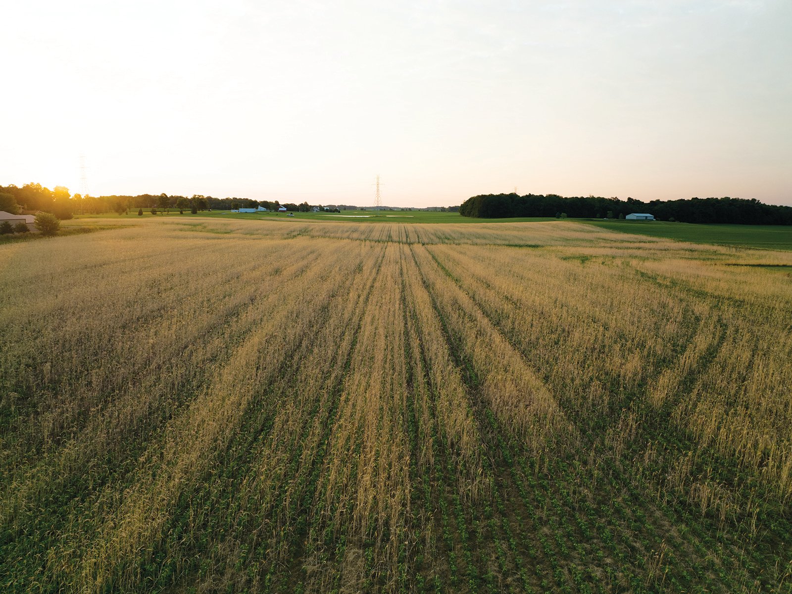 Property photo 6 - AUCTION CANCELLED - SOLD PRIOR TO AUCTION | LAND AUCTION 106.32+/- ACRES OFFERED IN 3 TRACTS IN WHITLEY COUNTY, IN