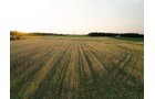 Property photo 6 - AUCTION CANCELLED - SOLD PRIOR TO AUCTION | LAND AUCTION 106.32+/- ACRES OFFERED IN 3 TRACTS IN WHITLEY COUNTY, IN