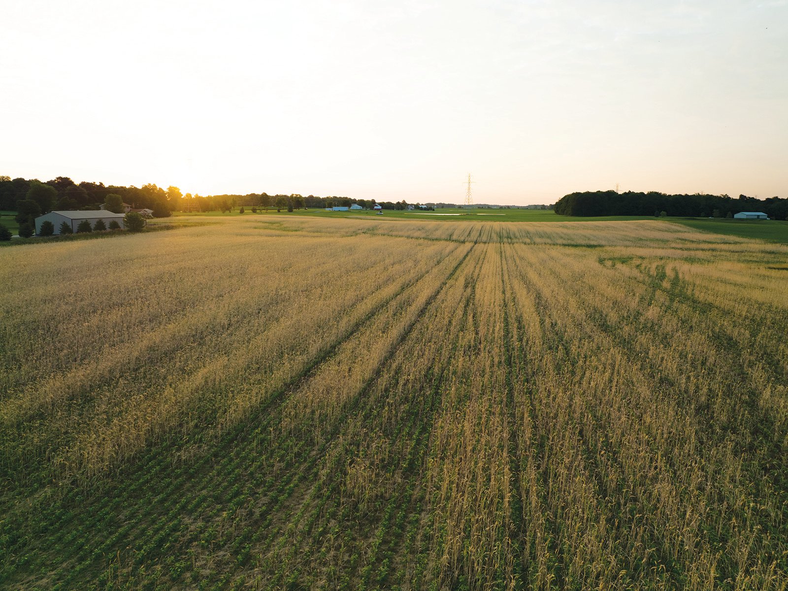 Property photo 23 - AUCTION CANCELLED - SOLD PRIOR TO AUCTION | LAND AUCTION 106.32+/- ACRES OFFERED IN 3 TRACTS IN WHITLEY COUNTY, IN