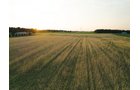 Property photo 23 - AUCTION CANCELLED - SOLD PRIOR TO AUCTION | LAND AUCTION 106.32+/- ACRES OFFERED IN 3 TRACTS IN WHITLEY COUNTY, IN