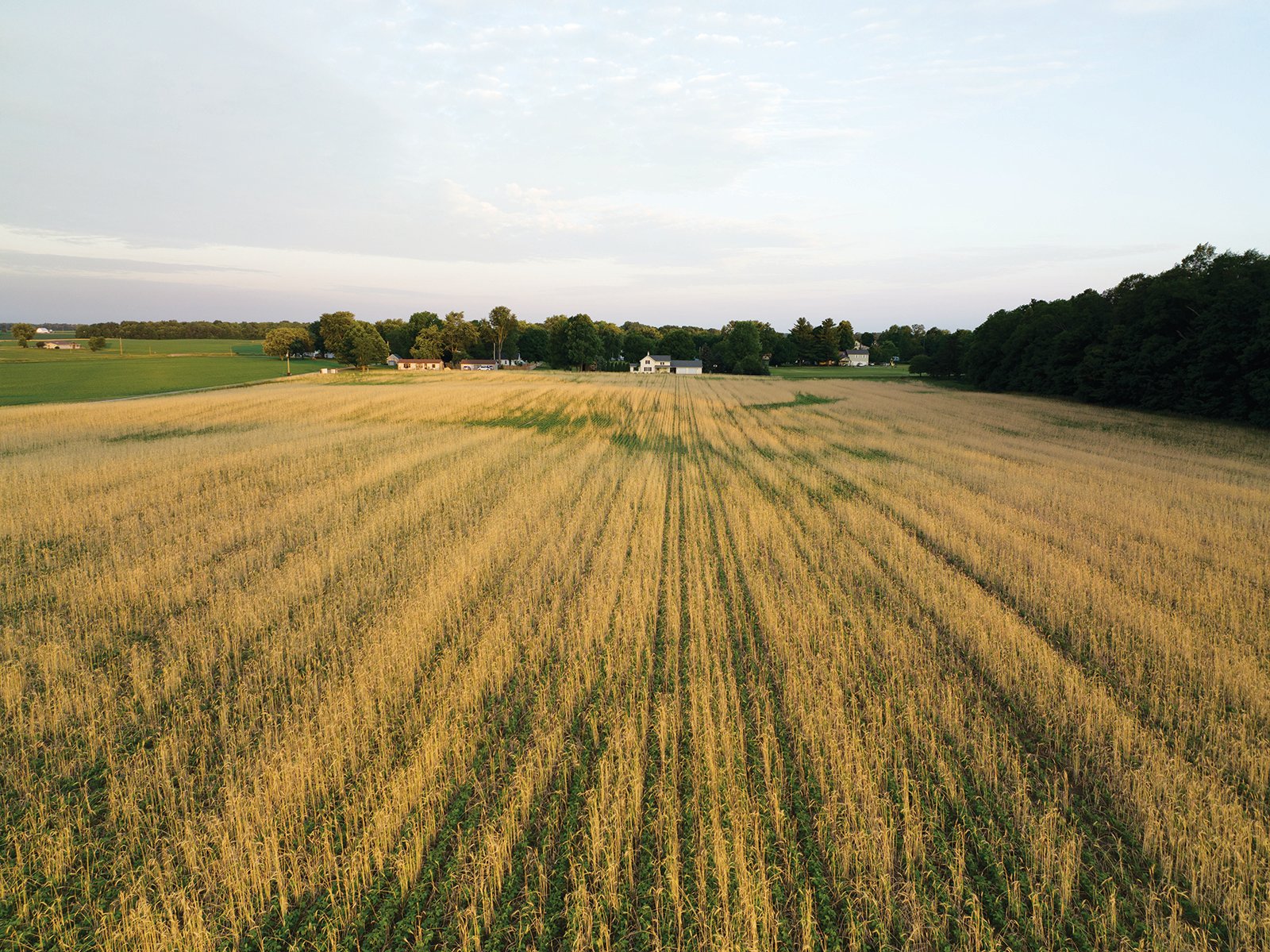 Property photo 20 - AUCTION CANCELLED - SOLD PRIOR TO AUCTION | LAND AUCTION 106.32+/- ACRES OFFERED IN 3 TRACTS IN WHITLEY COUNTY, IN
