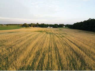 Property photo 20 - AUCTION CANCELLED - SOLD PRIOR TO AUCTION | LAND AUCTION 106.32+/- ACRES OFFERED IN 3 TRACTS IN WHITLEY COUNTY, IN