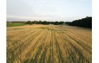 Property photo 20 - AUCTION CANCELLED - SOLD PRIOR TO AUCTION | LAND AUCTION 106.32+/- ACRES OFFERED IN 3 TRACTS IN WHITLEY COUNTY, IN