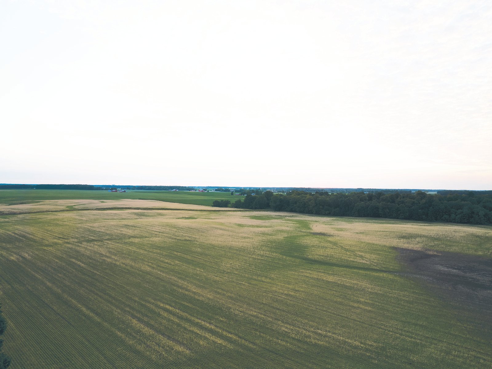 Property photo 17 - AUCTION CANCELLED - SOLD PRIOR TO AUCTION | LAND AUCTION 106.32+/- ACRES OFFERED IN 3 TRACTS IN WHITLEY COUNTY, IN