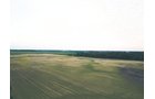 Property photo 17 - AUCTION CANCELLED - SOLD PRIOR TO AUCTION | LAND AUCTION 106.32+/- ACRES OFFERED IN 3 TRACTS IN WHITLEY COUNTY, IN