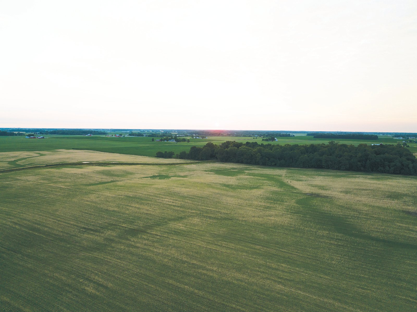 Property photo 16 - AUCTION CANCELLED - SOLD PRIOR TO AUCTION | LAND AUCTION 106.32+/- ACRES OFFERED IN 3 TRACTS IN WHITLEY COUNTY, IN