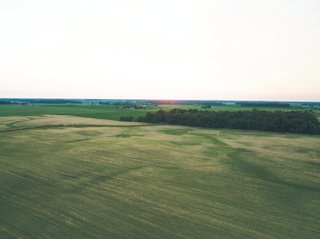 Property photo 16 - AUCTION CANCELLED - SOLD PRIOR TO AUCTION | LAND AUCTION 106.32+/- ACRES OFFERED IN 3 TRACTS IN WHITLEY COUNTY, IN