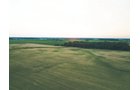 Property photo 16 - AUCTION CANCELLED - SOLD PRIOR TO AUCTION | LAND AUCTION 106.32+/- ACRES OFFERED IN 3 TRACTS IN WHITLEY COUNTY, IN