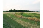 Property photo 15 - AUCTION CANCELLED - SOLD PRIOR TO AUCTION | LAND AUCTION 106.32+/- ACRES OFFERED IN 3 TRACTS IN WHITLEY COUNTY, IN